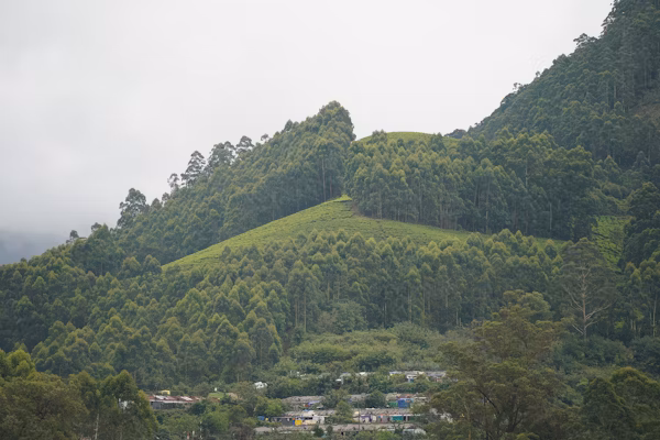 Gunung Binaiya