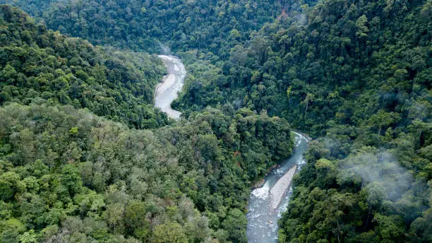 Gunung Leuser